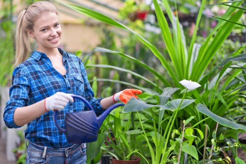 Gardening service terms and conditions with an overview of booking and service rules