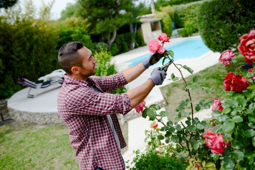 Professional lawn mowing in Leaves Green on a neatly trimmed residential lawn