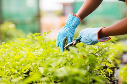Composite fencing providing a low-maintenance boundary in Leaves Green