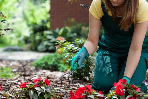 Even lawn mowing in Leaves Green with clean stripes across a well-kept yard