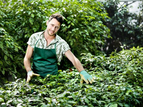 Image showing professional handling of a garden service issue