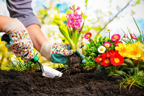 Professional garden maintenance in Leaves Green for healthy outdoor spaces