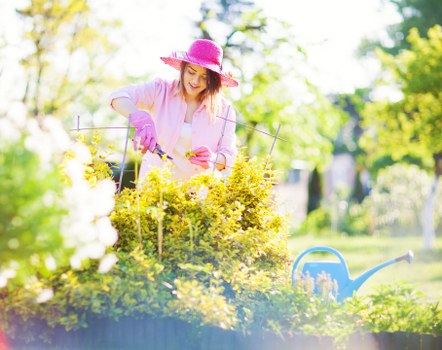 Image depicting a final complaint resolution in gardening services