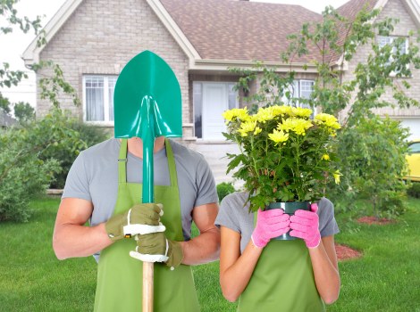 Professional mowing and lawn maintenance in Leaves Green garden