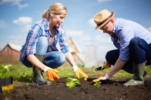 Close view of thoughtful garden maintenance in a green landscape