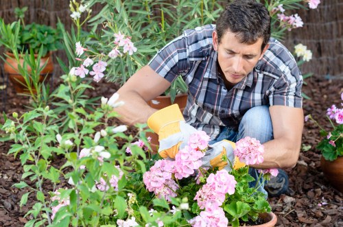 Free quote policy for garden waste removal on a busy street property