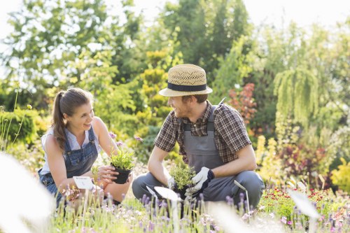 Patio, lawn, and feature planting in Leaves Green landscape gardening