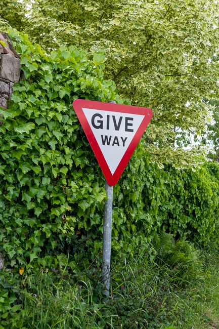 Bromley Council garden waste rules explained for gardeners