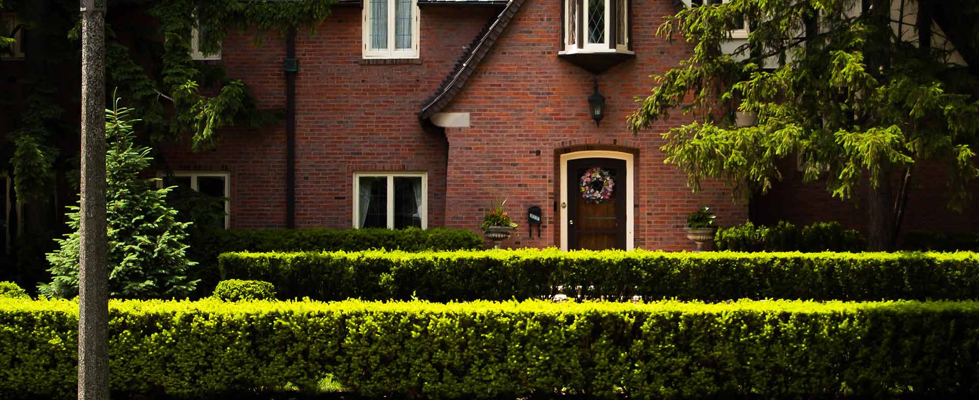 Gardeners Leaves Green